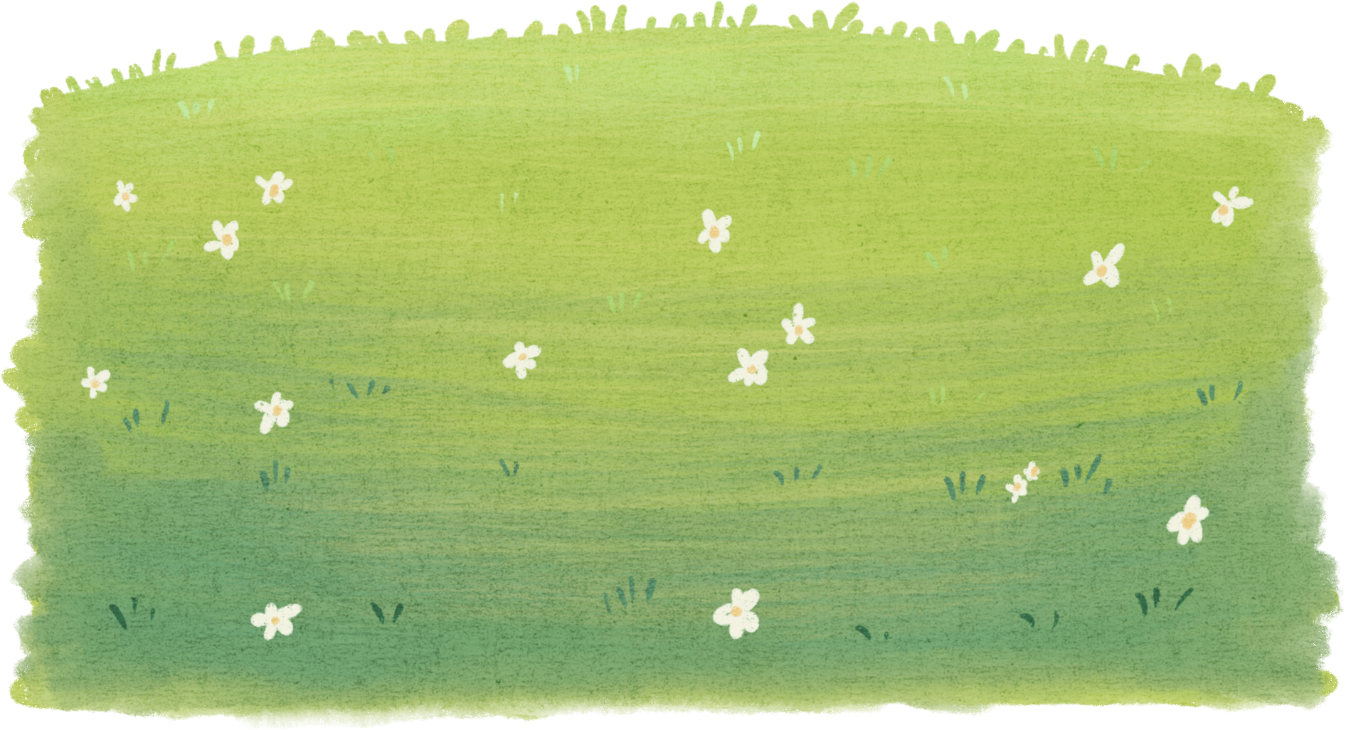 Grass Watercolor Illustration