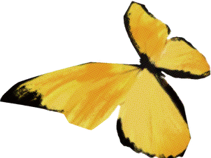 Textured Cutout Butterfly