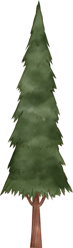 Christmas tree watercolor