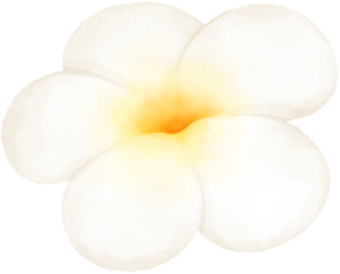 cute frangipani flower